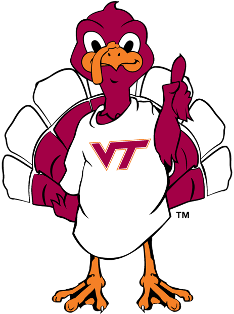 Virginia Tech Hokies 2000-Pres Mascot Logo t shirts iron on transfers v3